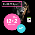 black friday 2018(1)