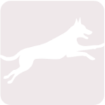 sporttirakki_logo_text_n_pic_for_dark_bg_h225