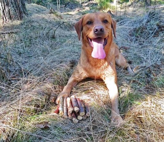 Blogi: Maltilla tuloksiin