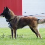 IMG_20170826_105246_080