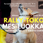 rallytoko_mestari_pieni