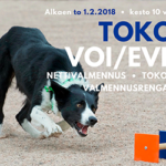 toko_voi_evl_valmennus