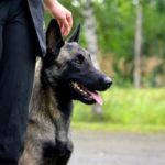 21191882_10155556058757808_6887169099887329560_n