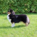 409826F7-C684-46D2-9ACA-F902D5B750FC