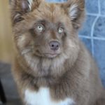 FB_IMG_1500068663969