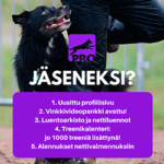 jaseneksi_prorakki