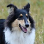 6642A96E-1C3D-4B78-A490-F95AC1F8C872