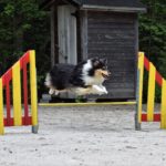 8FFBF2E3-1627-4B5D-80D5-F7E606AACFFA