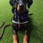 97A36EBF-34BC-4404-9906-2B84EEFE790F