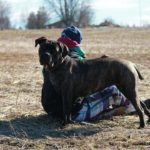 FB_IMG_1510387159967