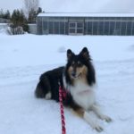 FD203E10-725B-4B7F-828A-751187D316B3