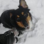 IMG_20180313_133133_931