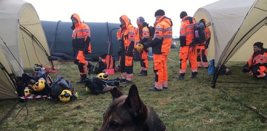 finn_rescue_team_pelastuskoira_1