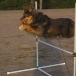 30762935_10156356024324588_9150343672833769472_n