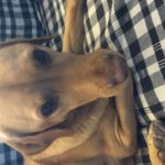 CCF3D074-361B-45D8-86A5-5D253E64CD1C