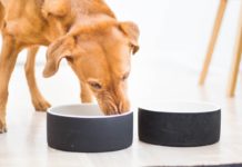 Blogi: Testissä Magisso-kupit magissonkuppi_01