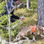 KÄYTETTY_05_2017_D502801