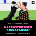 koiratanssikurssi(1)