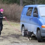 nosework koe ajoneuvo etsinta