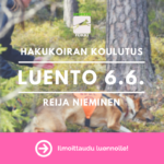sivumainos reijan luento(1)
