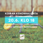sivumainos lotan luento