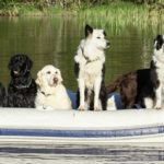 vesipelastus_soveltuvuuskoe_1