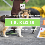 radanlukutaidon sivubanneri