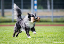 Blogi: Kun epäonnistuminen on onnistuminen