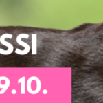 toko voi-evl banneri