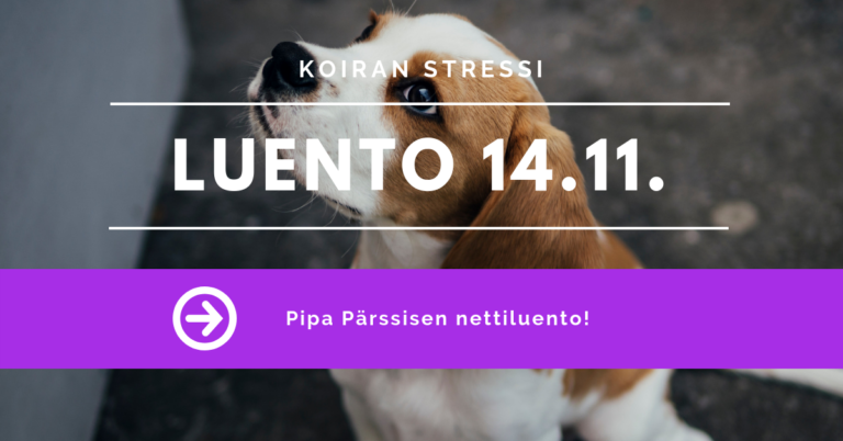 Nettiluento 14.11.: Koiran stressi – Pipa Pärssinen