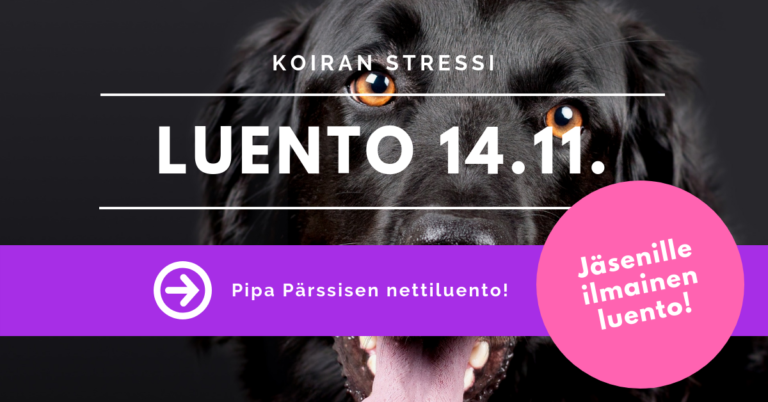 Koiran stressi -luento nyt arkistossa
