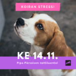 luento koiran stressi