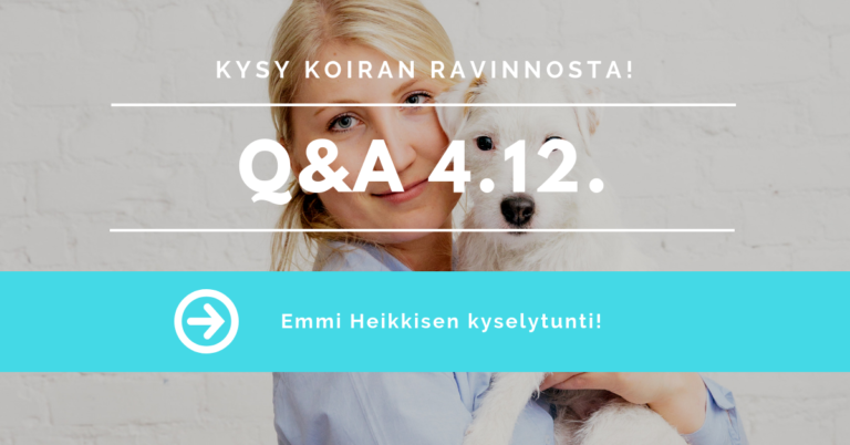 Q&A 4.12.: Kysy harrastuskoiran ravinnosta! – Emmi Heikkinen