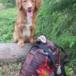 35281093_10156347735349787_5134561380061413376_o