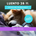 mainoskuva ohjaajan voimavarat(2)