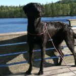 received_10204672480810107