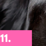 stressiluento banneri pian