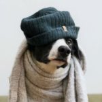 FB_IMG_1507783761025