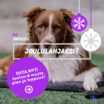 vilu joululahjaksi(1)