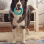 16299628_10211870528056299_801841036523009548_o