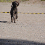 62D54BF2-F726-4C8E-96F0-F5EC527F02FD