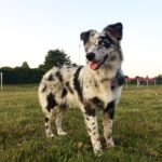 CE9BE079-0906-4ED9-A551-C1DA9706760D