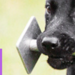 tokon perusteet banneri