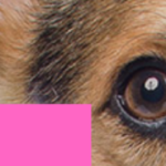 jumppaviikot banneri