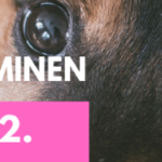 luonnetestitulokset banneri