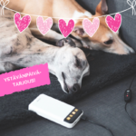 ystavanpaivatarjous vilu