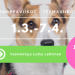 jumppaviikot vaalea cover