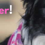 nettiyksari alennus banneri(1)