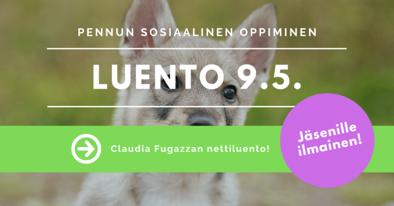 Nettiluento 9.5. – Pennun sosiaalinen oppiminen