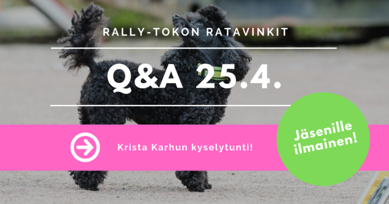 Q&A Rally-tokon ratavinkkejä 25.4.